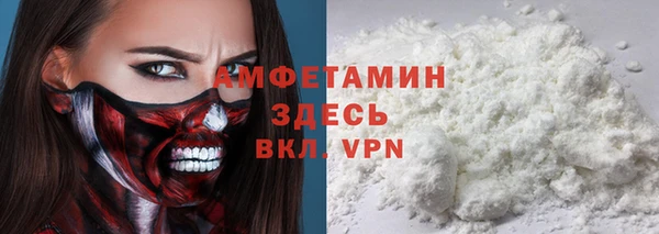 индика Бугульма