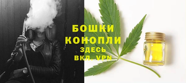 спайс Белокуриха