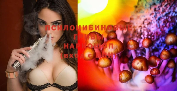 ГАЛЛЮЦИНОГЕННЫЕ ГРИБЫ Балабаново
