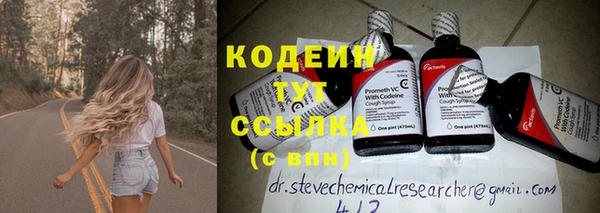 PSILOCYBIN Богданович