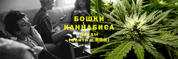 ГАЛЛЮЦИНОГЕННЫЕ ГРИБЫ Балабаново