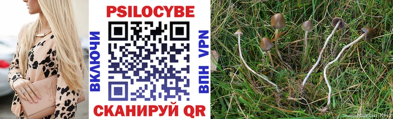 Псилоцибиновые грибы Psilocybe  даркнет сайт  Балтийск 